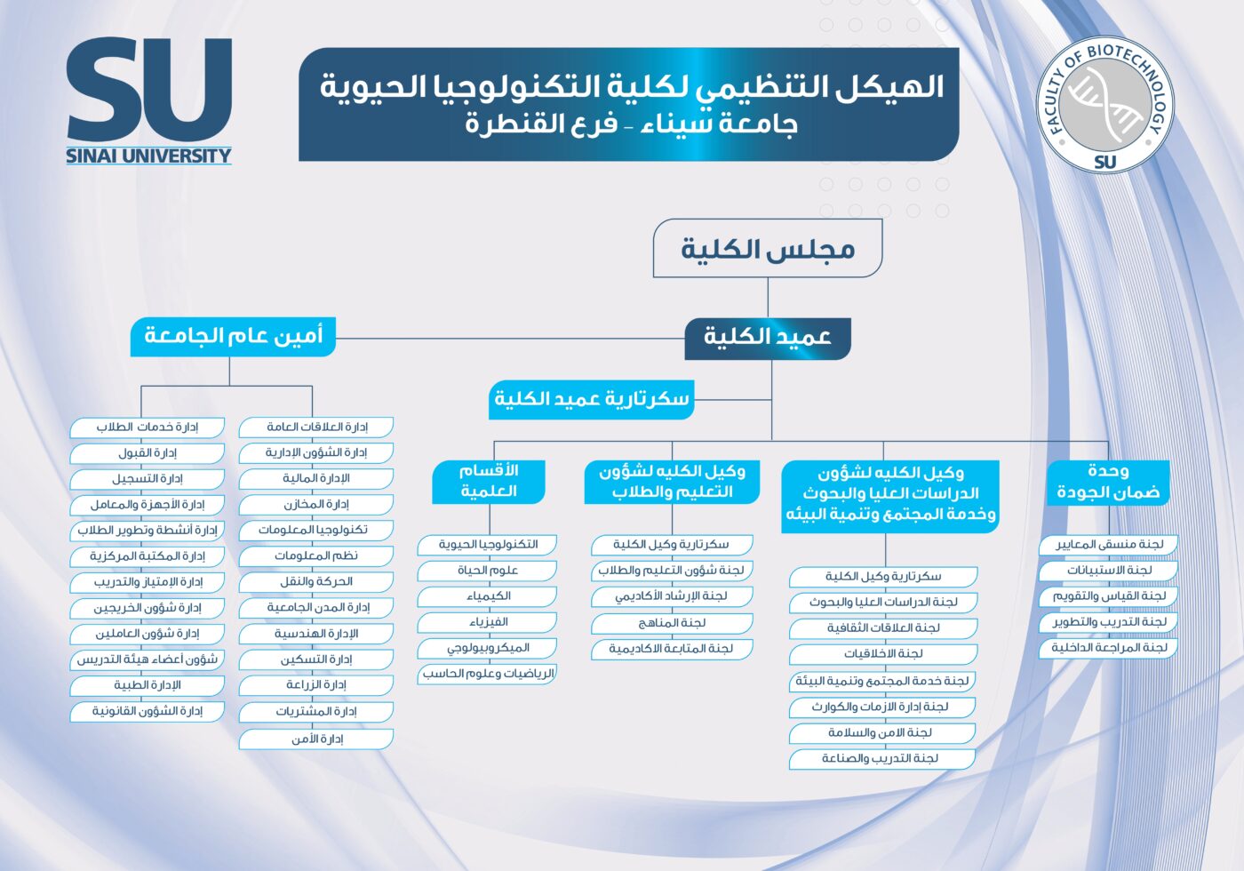 الهيكل التنظيمي لكلية التكنولوجيا الحيوية